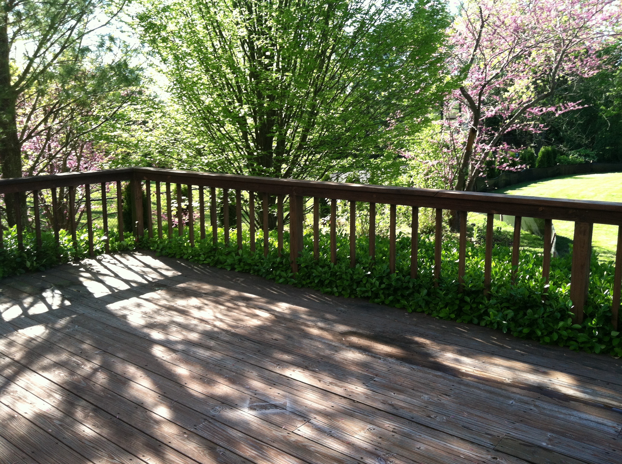 Scarsdale deck BEFORE